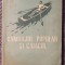Canotajul popular si caiacul, Crasnopevtev si Cuznetov, 1951, 200 pag