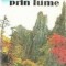 Drumetind prin Lume