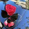 Trandafir Criogenat somon inchis &Oslash;6,5cm in cupola 10x20cm