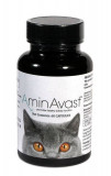 Aminavast Cat, 300 mg/ 60 capsule