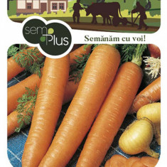 Seminte de morcovi Flakker 5 grame SemPlus