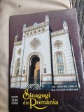 Aristide Streja, Lucian Schwarz - Sinagogi din Romania