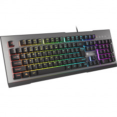 Tastatura Genesis Rhod 500 RGB