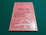 MICIA * GRUPUL DE CUPTOARE ROMANE PENTRU ARS CERAMICĂ / OCTAVIA FLOCA / 1970 *30