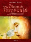 O inima de broscuta. Simplitatea, cea mai frumoasa lectie a vietii. Volumul 8/Gheorghe Virtosu