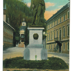5431 - Baile HERCULANE, Caras-Severin, Hercules statue - old postcard - unused