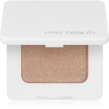 RMS Beauty Back2Brow pudră pentru spr&acirc;ncene culoare Light 3,5 g