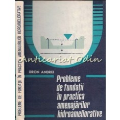 Probleme De Fundatii In Practica Amenajarilor Hidroameliorative - D. Andrei