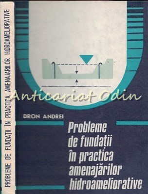 Probleme De Fundatii In Practica Amenajarilor Hidroameliorative - D. Andrei foto