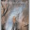 THE STORY OF MINING IN CORNWALL by ALLEN BUCKLEY , 2007 , PREZINTA URME DE INDOIRE