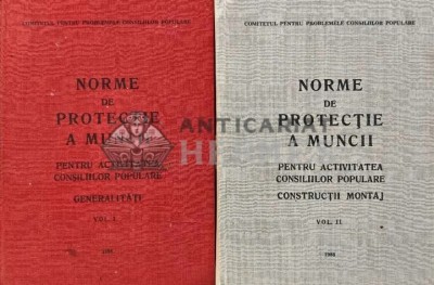Norme de protectie a muncii, vol. 1, 2. Pentru activitatea consiliilor populare - 1988 - Stefan Sgandar (red.) (XE63) foto
