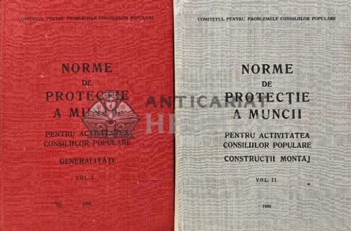 Norme de protectie a muncii, vol. 1, 2. Pentru activitatea consiliilor populare - 1988 - Stefan Sgandar (red.) (XE63)