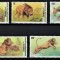 CONGO 2002 - Fauna africana, Lei / serie completa MNH (Michel 8.5&euro;)