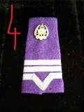 M3 C5 - Grade militare - post 89 - maistru militar logistica 31