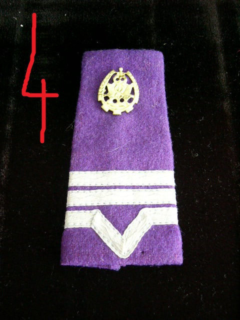 C2 31 - Grade militare - maistru militar logistica - piesa de colectie!