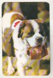 Bnk cld Calendar de buzunar 1985 - IIRUC Bucuresti - caine Saint Bernard