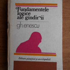 Gh. Enescu - Fundamentele logice ale gandirii (1980, cotor uzat)
