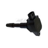 Meat &amp;amp; Doria bobina de inductie