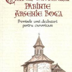 Chipul Cuviosului Parinte Arsenie Boca. Premisele unei dezbateri pentru canonizare - Sergiu Ciocarla