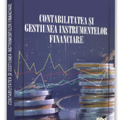 Contabilitatea si gestiunea instrumentelor fiscale | Vasilica Vilcu