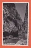 AMS @ - VEDERE LA CHEILE BICAZULUI NECIRCULATA, 1934, printata