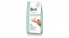 Brit Grain Free Veterinary Diets Caine Struvite 2 Kg foto