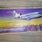 bnk jc RDG VEB Plasticart - Macheta Boeing 727 - excelenta - in cutie