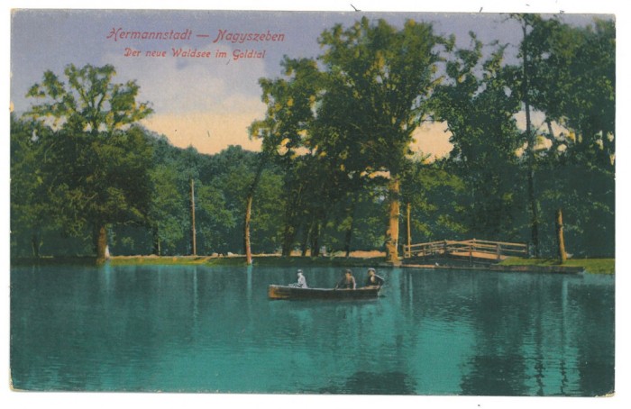 4207 - SIBIU, Park Dumbrava, Romania - old postcard - unused