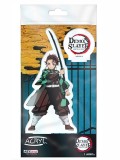 Demon Slayer Acryl Tanjiro