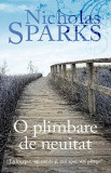 O plimbare de neuitat - Paperback brosat - Nicholas Sparks - RAO