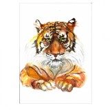 Tablou, Tiger, acuarela pe hartie, neinramat, 21x29 cm, Animale, Realism, RavariuArt