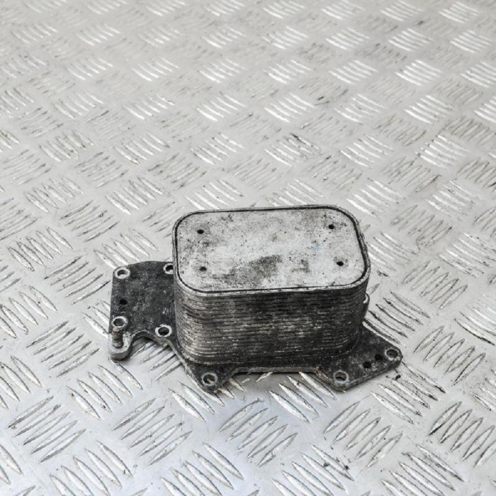 Răcitor de ulei AUDI A4 Avant 8K5, B8 2009 OEM: 059117021K | 2425444