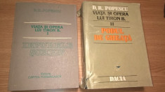 D.R. Popescu - Viata si opera lui Tiron B. (Iepurele schiop + Podul de gheata) foto