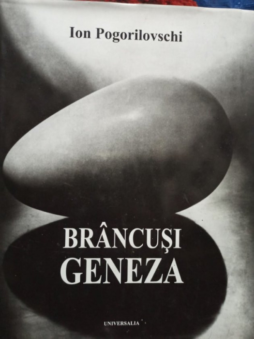 Ion Pogorilovschi - Brancusi Geneza (editia 2007)