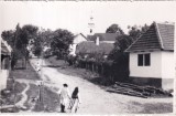 Fotografie satul Tapia - Lugoj (scrisa 1937)