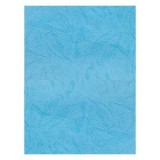 Coperta indosariere A4 CNX, carton imitatie piele, albastru, 230g/mp, top 100 coli