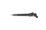 Injector Fiat Ducato, Ducato Sasiu; Iveco Daily IV, Daily IV Sasiu, Daily V, Daily V Sasiu, Daily VI, Daily VI Sasiu; Peugeot Boxer Motor 110
