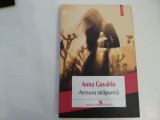 Armura strapunsa - Anna Gavalda