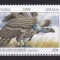 UCRAINA UKRAINA 1999 FAUNA SERIE MNH