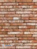 Placaj klinker Terca Metropolis Atrium Rood, 24x4x2.3 cm
