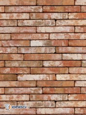 Coltar mic klinker Terca Metropolis Atrium Rood, 21x4x2.3 cm foto
