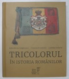 TRICOLORUL IN ISTORIA ROMANILOR de ADINA BERCIU - DRAGHICESCU ... LUMINITA IORDACHE , 2020 *MICI DEFECTE COPERTA FATA