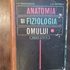 Anatomia și fiziologia omului - I. C. Voiculescu, I. C. Petricu