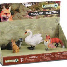 Set 5 figurine Animale din padure pictate manual LPP Collecta