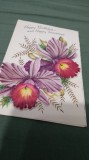 Cumpara ieftin CARTE POSTALA FELICITARE CIRCULATA