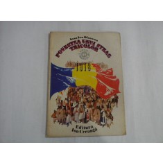 POVESTEA UNUI STEAG TRICOLOR 1918 - IOAN ION DIACONU