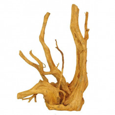 Cuckoo Root radacina pentru acvariu - 32 x 17 x 48 cm foto