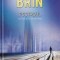David Brin - Postasul