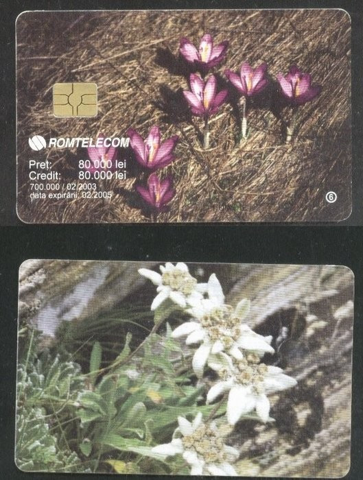 Romania 2003 Telephone card Flowers Rom 178a CT.032