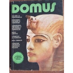 Domus-Almanah al revistei Steaua Un ghid al gospodarului